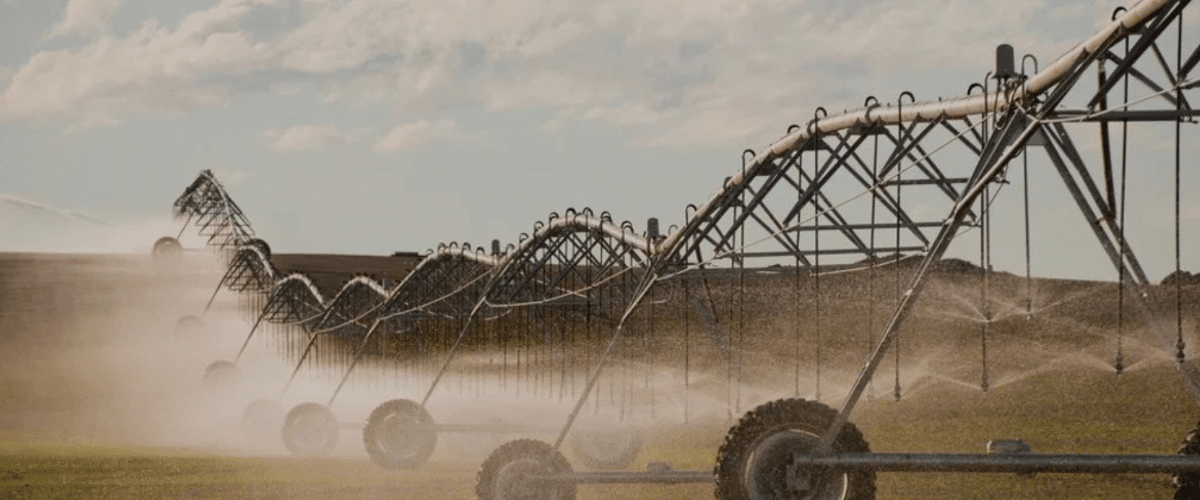 Investing in Tomorrow: Texas and the Water Challenge