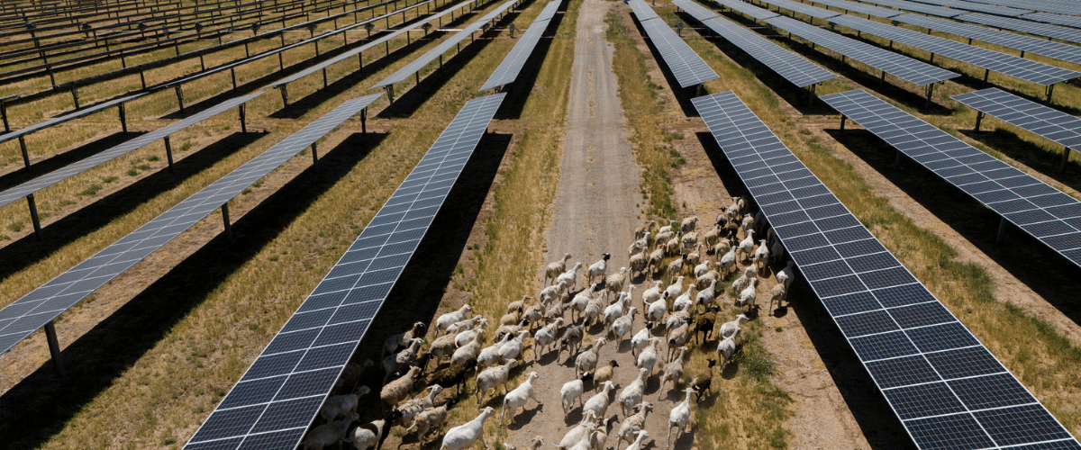 Texas Grid Innovation: A French-American Initiative to Accelerate ERCOT’s Energy Transformation