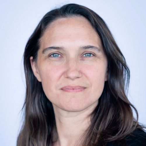 Anne-Laure Chassanite