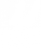 San Antonio Spurs